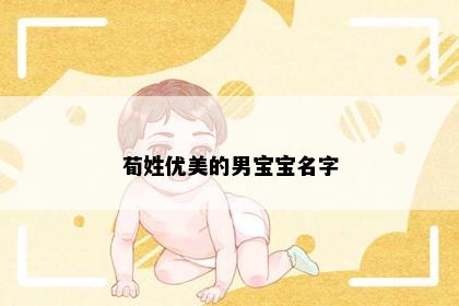 荀姓优美的男宝宝名字
