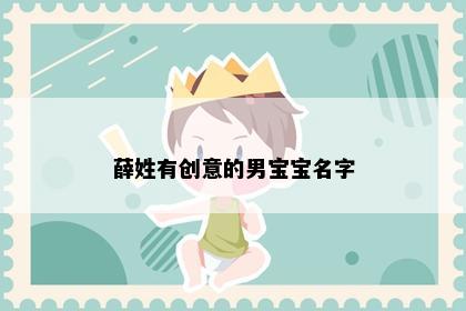 薛姓有创意的男宝宝名字